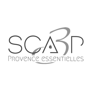 logo SCA3P