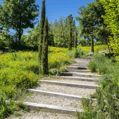 shooting photo professionnel